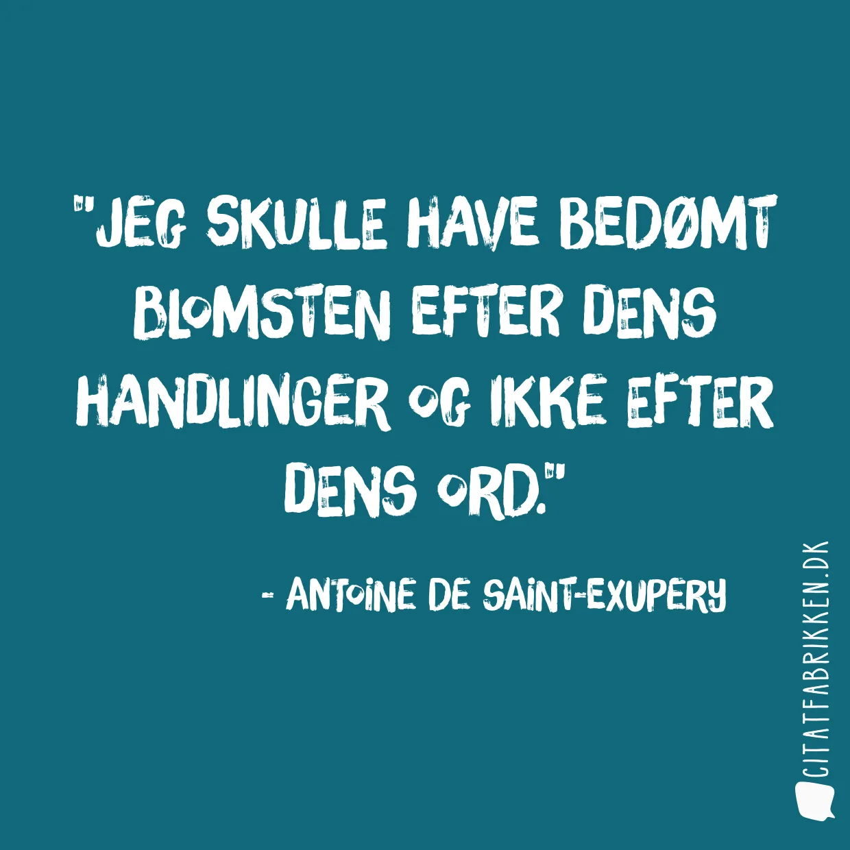 Jeg skulle have bedømt blomsten efter dens handlinger og ikke efter dens ord.