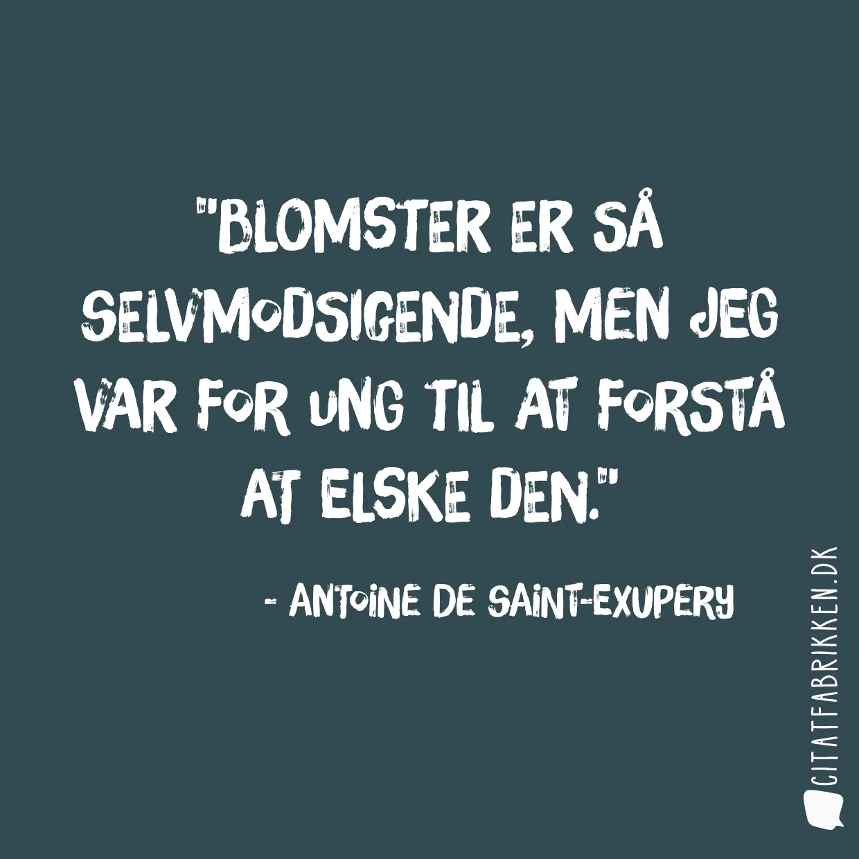 Blomster er så selvmodsigende, men jeg var for ung til at forstå at elske den.