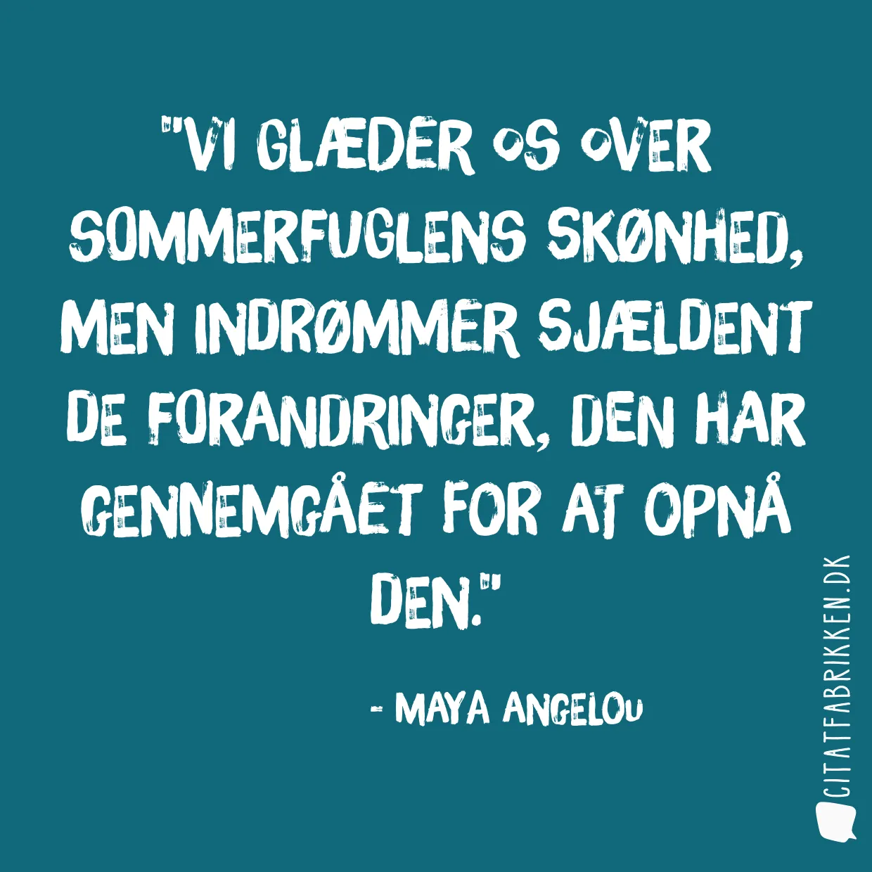 Vi glæder os over sommerfuglens skønhed, men indrømmer sjældent de forandringer, den har gennemgået for at opnå den.