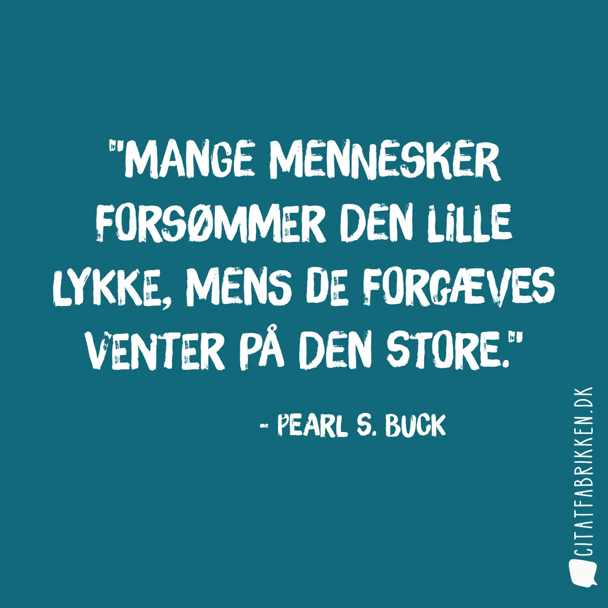 Mange mennesker forsømmer den lille lykke, mens de forgæves venter på den store.