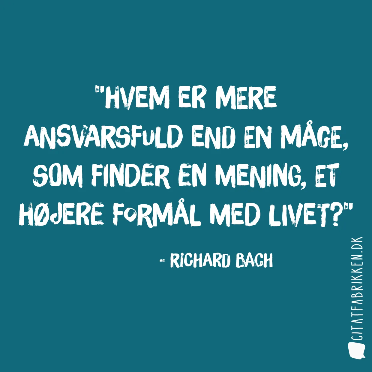 Hvem er mere ansvarsfuld end en måge, som finder en mening, et højere formål med livet?