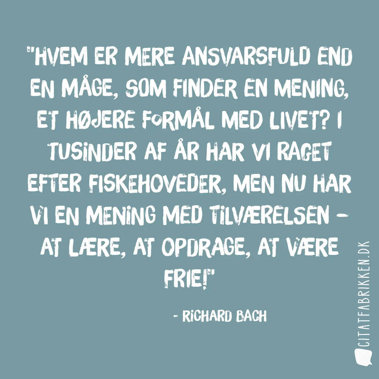 Hvem er mere ansvarsfuld end en måge, som finder en mening, et højere formål med livet? I tusinder af år har vi raget efter fiskehoveder, men nu har vi en mening med tilværelsen – at lære, at opdrage, at være frie!
