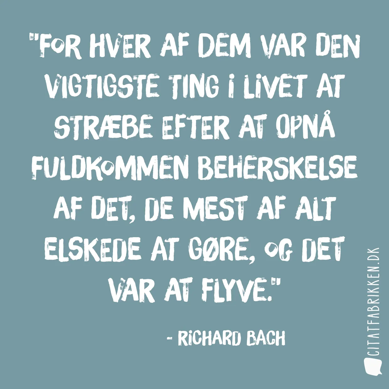 For hver af dem var den vigtigste ting i livet at stræbe efter at opnå fuldkommen beherskelse af det, de mest af alt elskede at gøre, og det var at flyve.