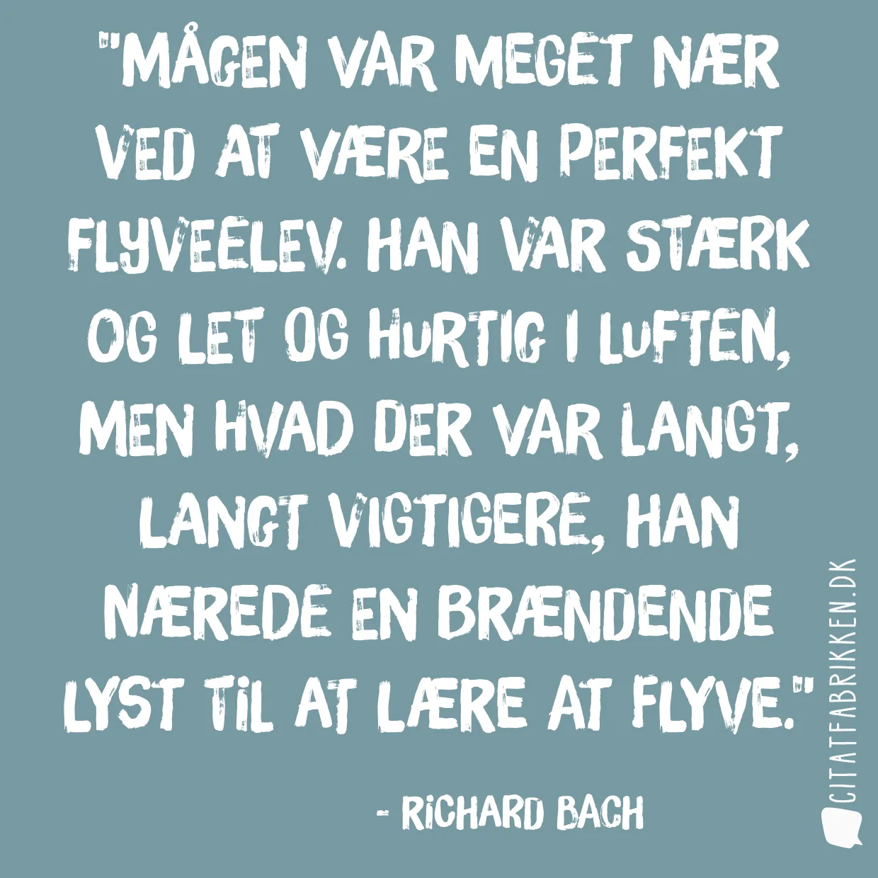 Mågen var meget nær ved at være en perfekt flyveelev. Han var stærk og let og hurtig i luften, men hvad der var langt, langt vigtigere, han nærede en brændende lyst til at lære at flyve.