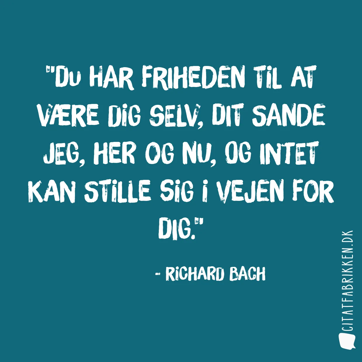 Du har friheden til at være dig selv, dit sande jeg, her og nu, og intet kan stille sig i vejen for dig.