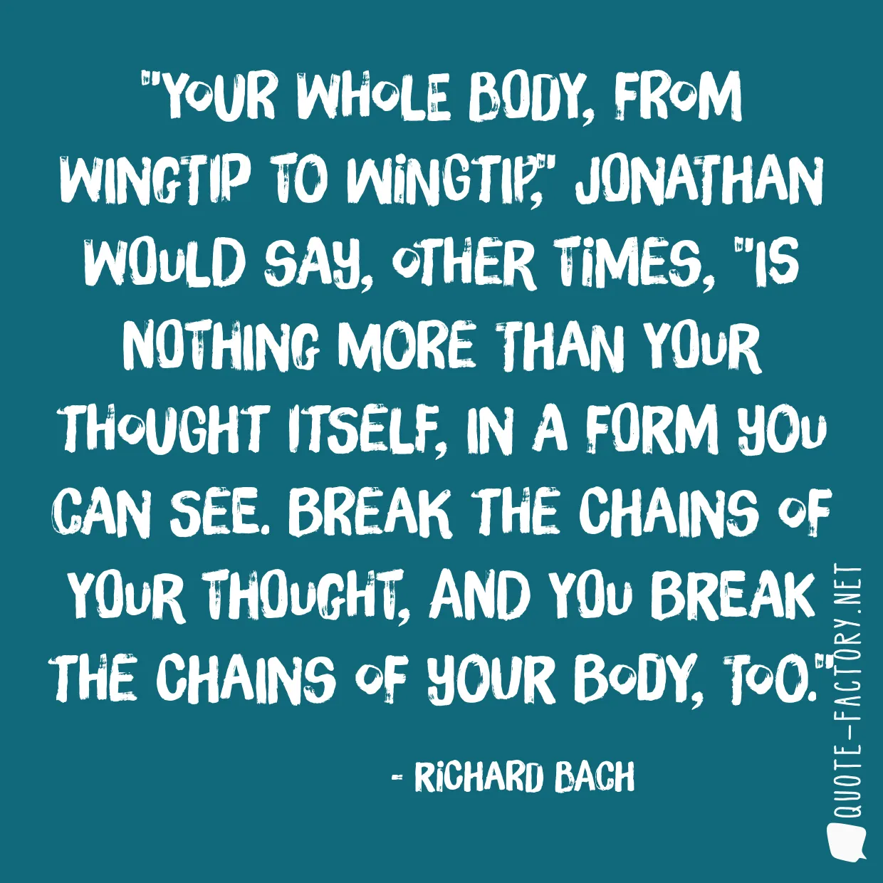 Your whole body, from wingtip to wingtip,