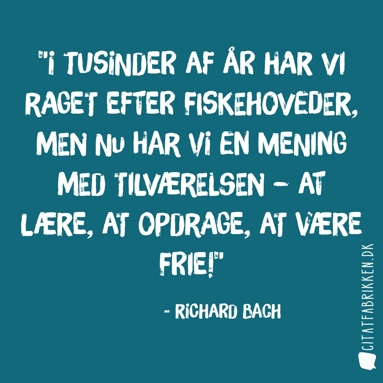 I tusinder af år har vi raget efter fiskehoveder, men nu har vi en mening med tilværelsen – at lære, at opdrage, at være frie!