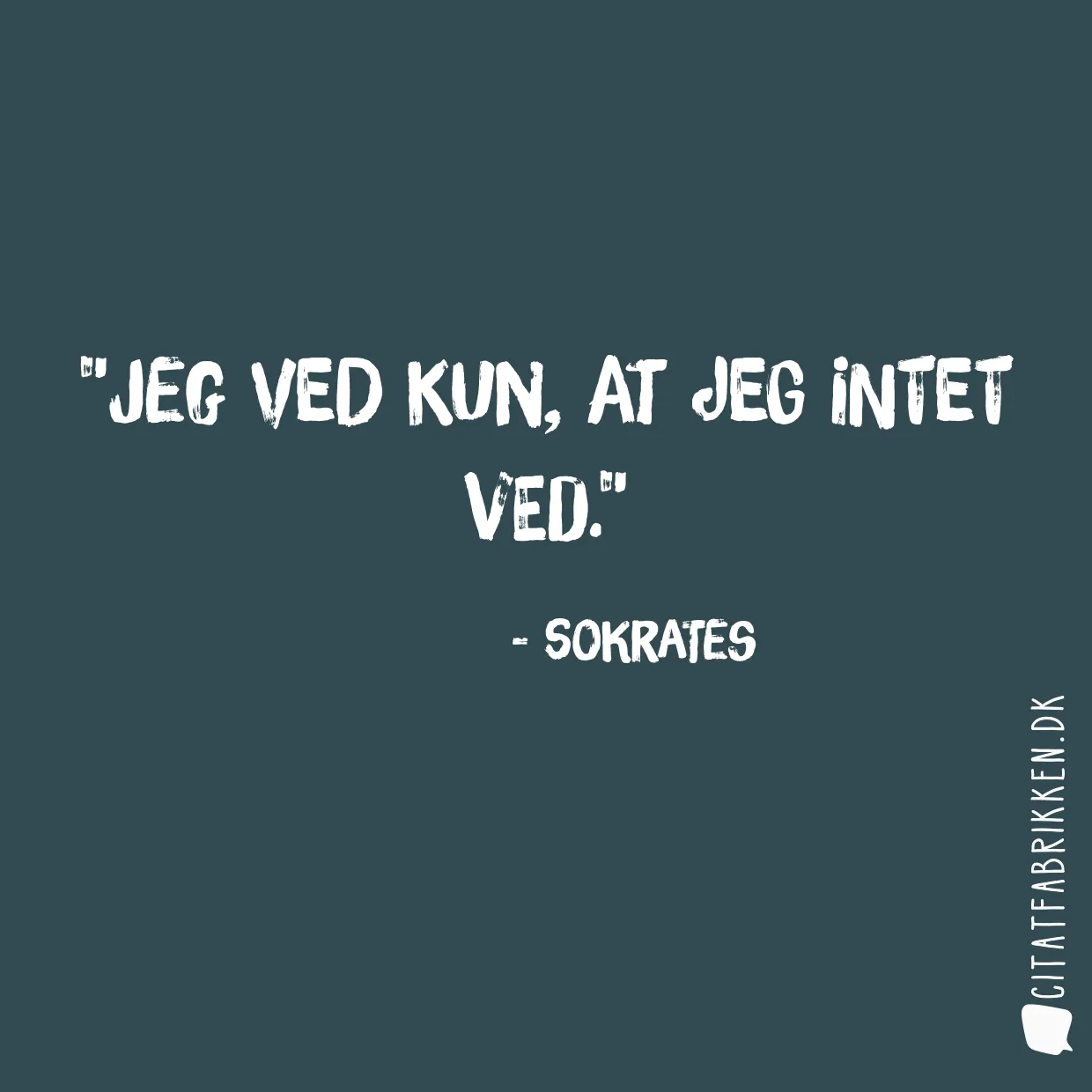 Jeg ved kun, at jeg intet ved.