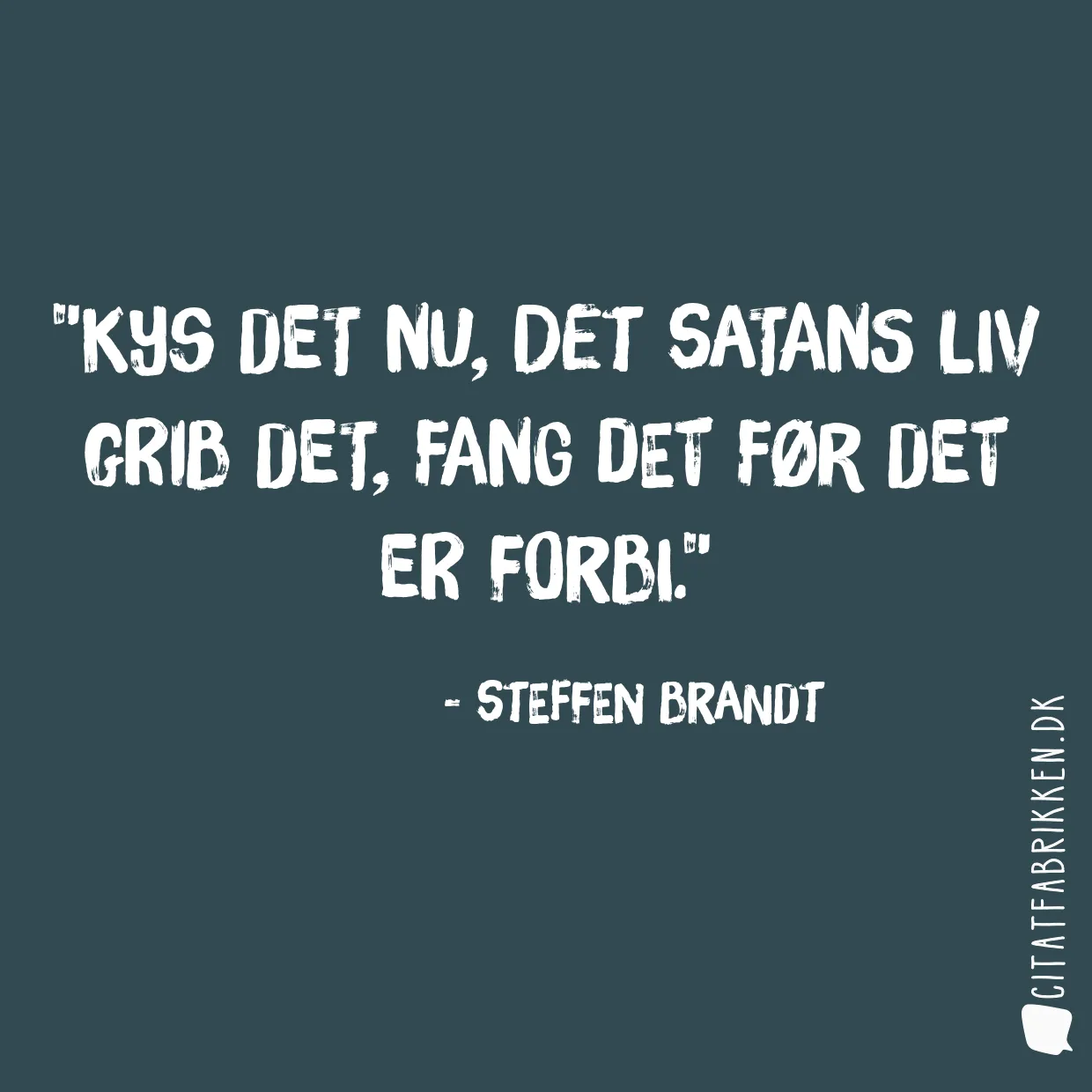 Kys det nu, det satans liv grib det, fang det før det er forbi.