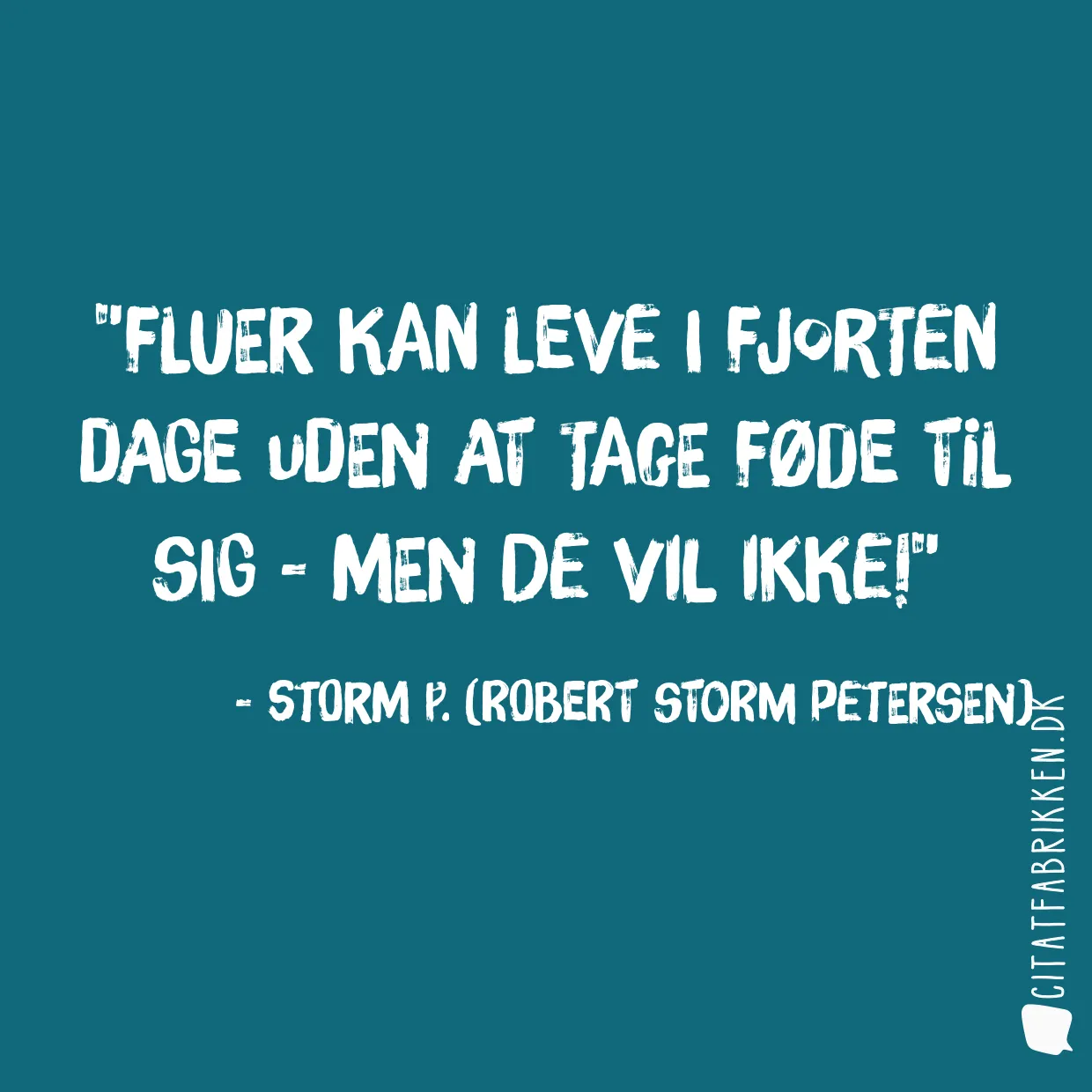 Fluer kan leve i fjorten dage uden at tage føde til sig - men de vil ikke!