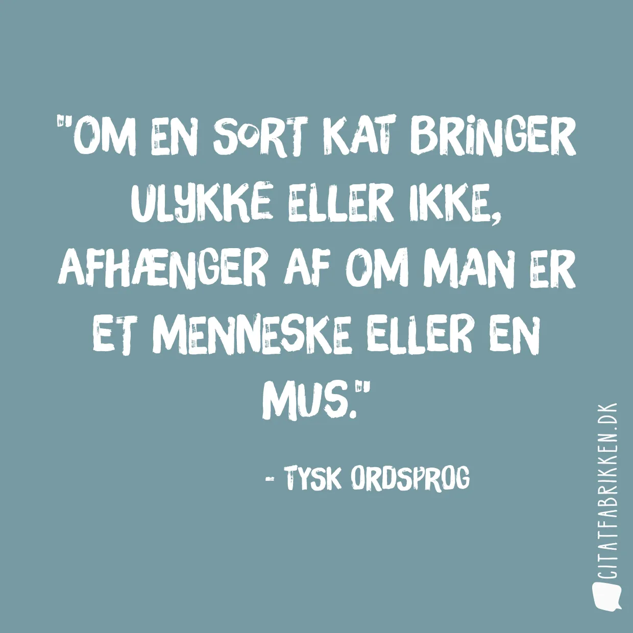 Om en sort kat bringer ulykke eller ikke, afhænger af om man er et menneske eller en mus.