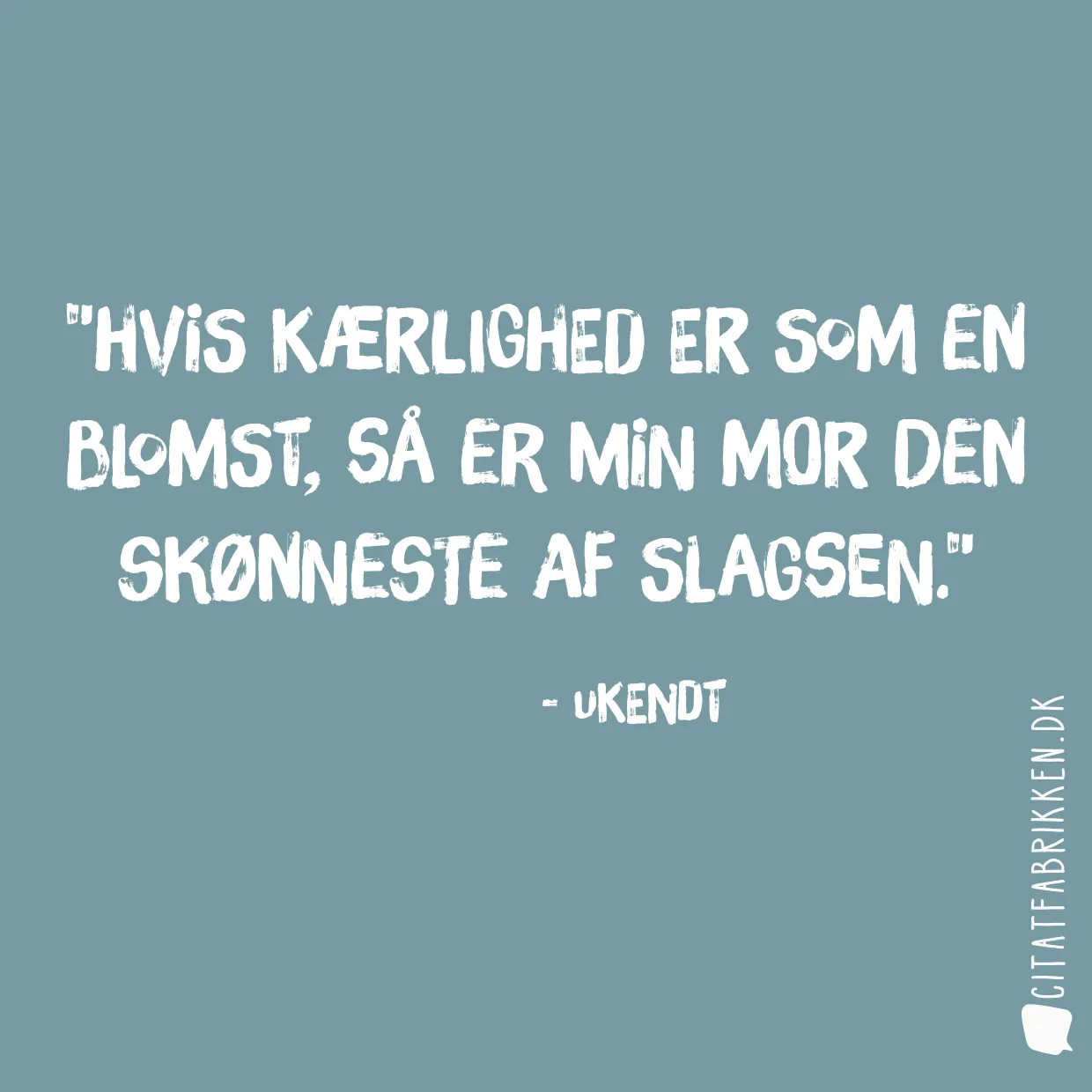 Hvis kærlighed er som en blomst, så er min mor den skønneste af slagsen.