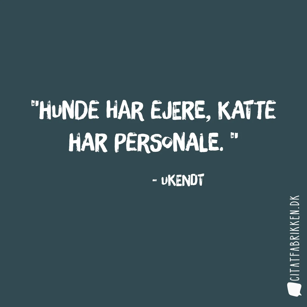 Hunde har ejere, katte har personale. 