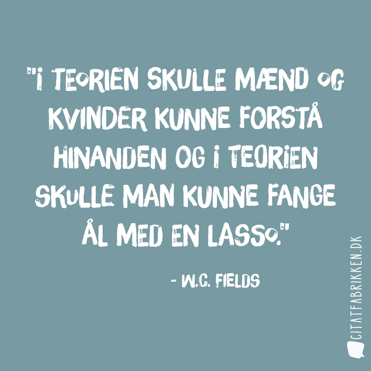 I teorien skulle mænd og kvinder kunne forstå hinanden og i teorien skulle man kunne fange ål med en lasso.