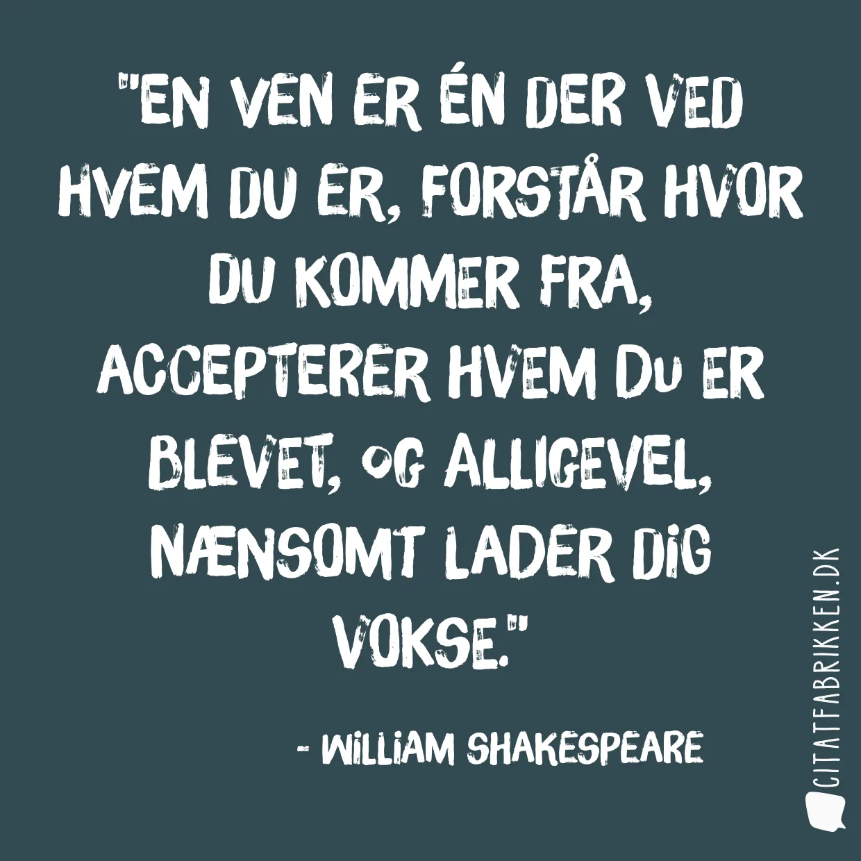 En ven er én der ved hvem du er, forstår hvor du kommer fra, accepterer hvem du er blevet, og alligevel, nænsomt lader dig vokse.
